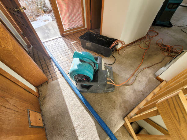 Best Local water damage restoration  in Marion, AL